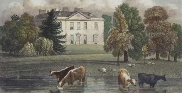 Detail from 'Langley Park, Buckinghamshire' drawn by J.P. Neale (Image from Rare Old Prints)